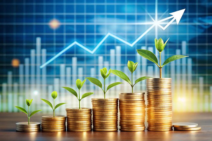 Financial planning and advisory services